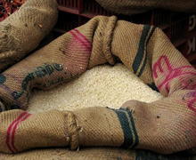 7. Les millets dans le programme de sécurité alimentaire de l’Inde.