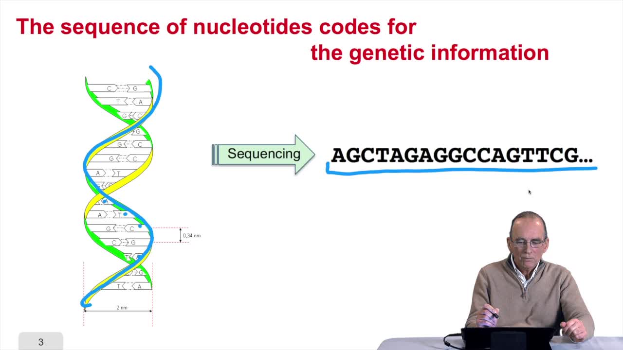 1.3. DNA codes for genetic information