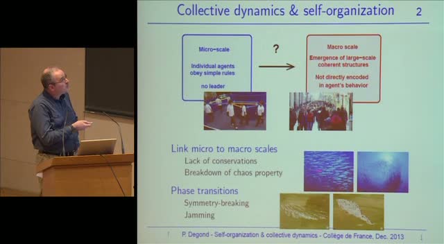 Auto-organisation et dynamique collective