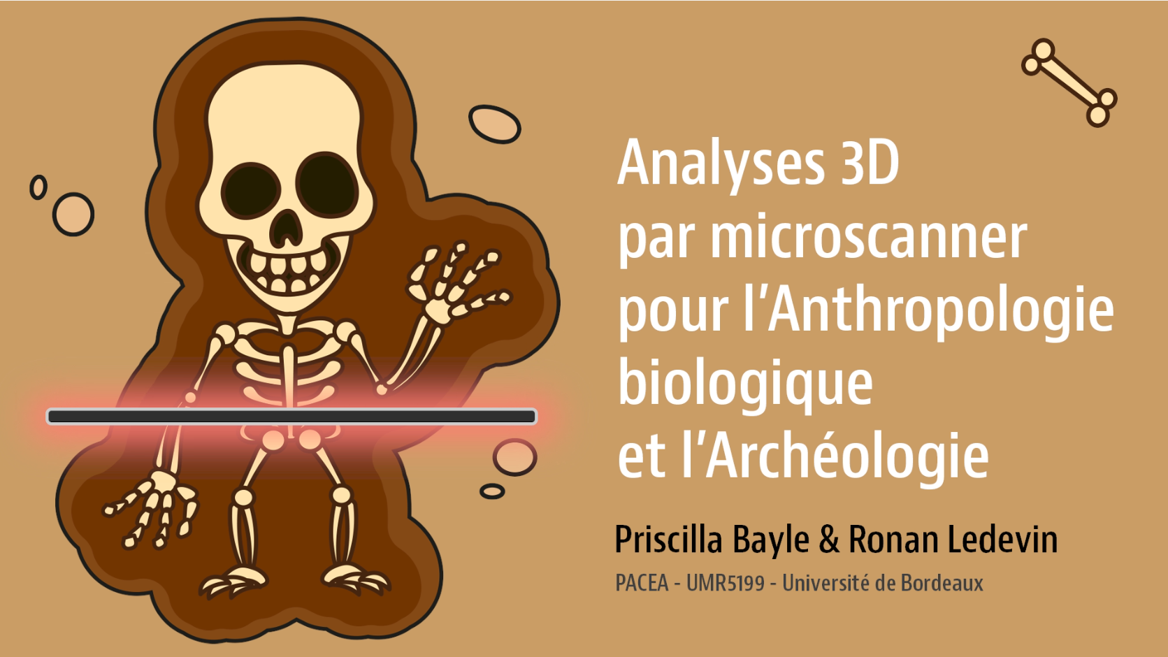 Analyses 3D par microscanner pour l'anthropologie biologique et l'archéologie