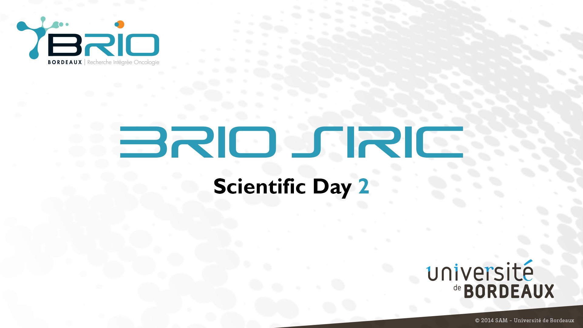 BRIO support to scientists
