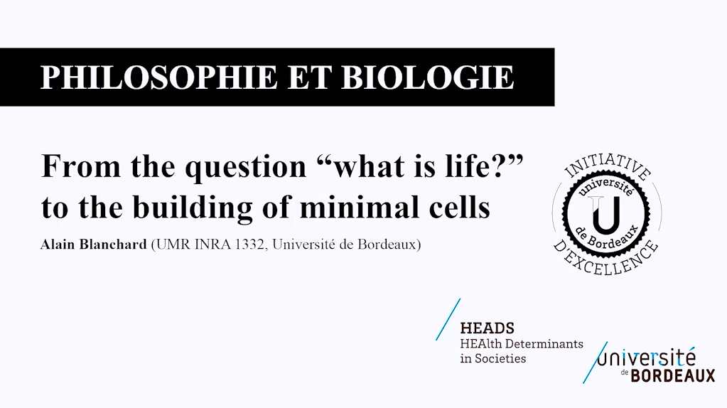 From the question “what is life?” to the building of minimal cells