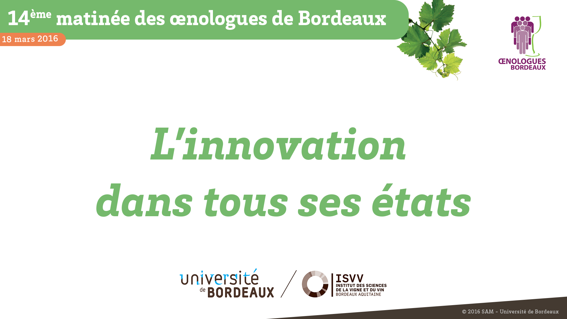 Innovation variétale : une solution pour réduire les produits phytosanitaires dans la filière vigne