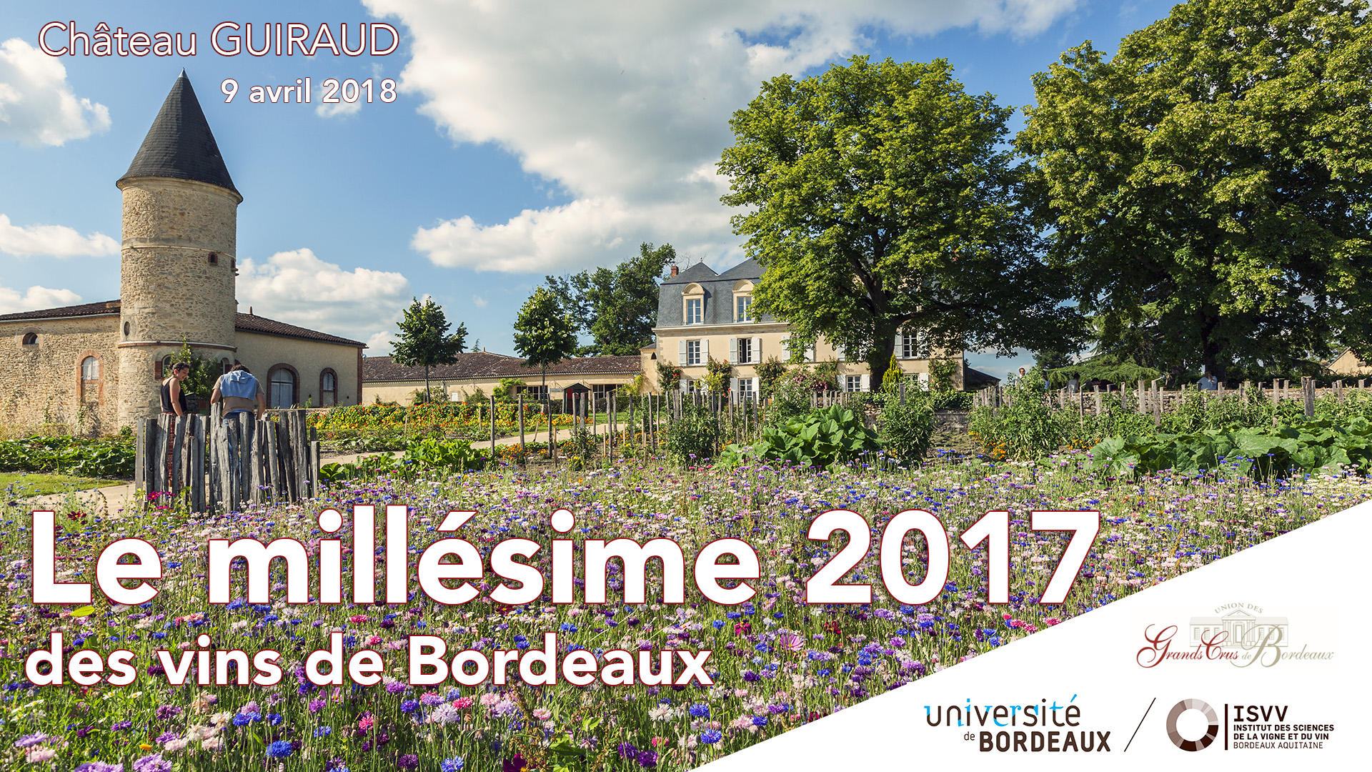 Le Millésime 2017 des vins de Bordeaux