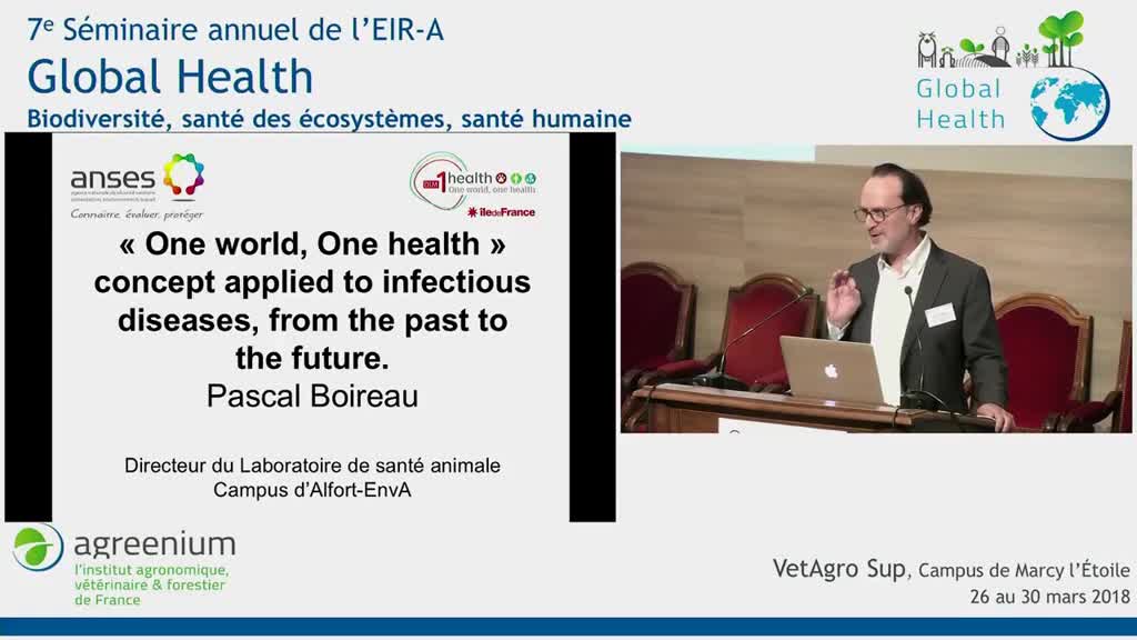 "One World, One Health" concept applied to infectious disease, from the past to the future