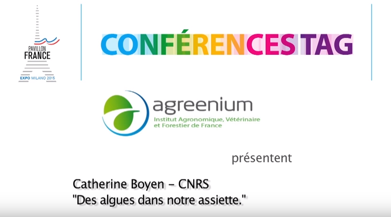 Des algues dans notre assiette - C. Boyen, CNRS