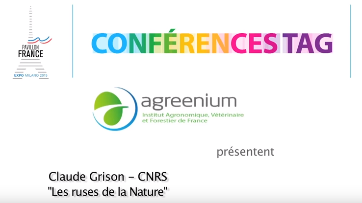 Les ruses de la nature - C. Grison, CNRS
