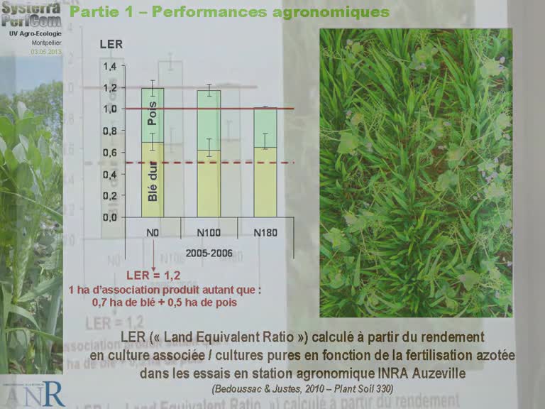 Performances agronomiques des associations céréales-légumineuses