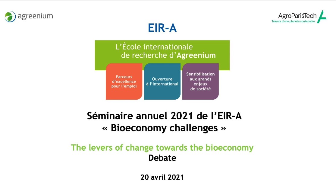 The levers of change towards the bioeconomy (debate)