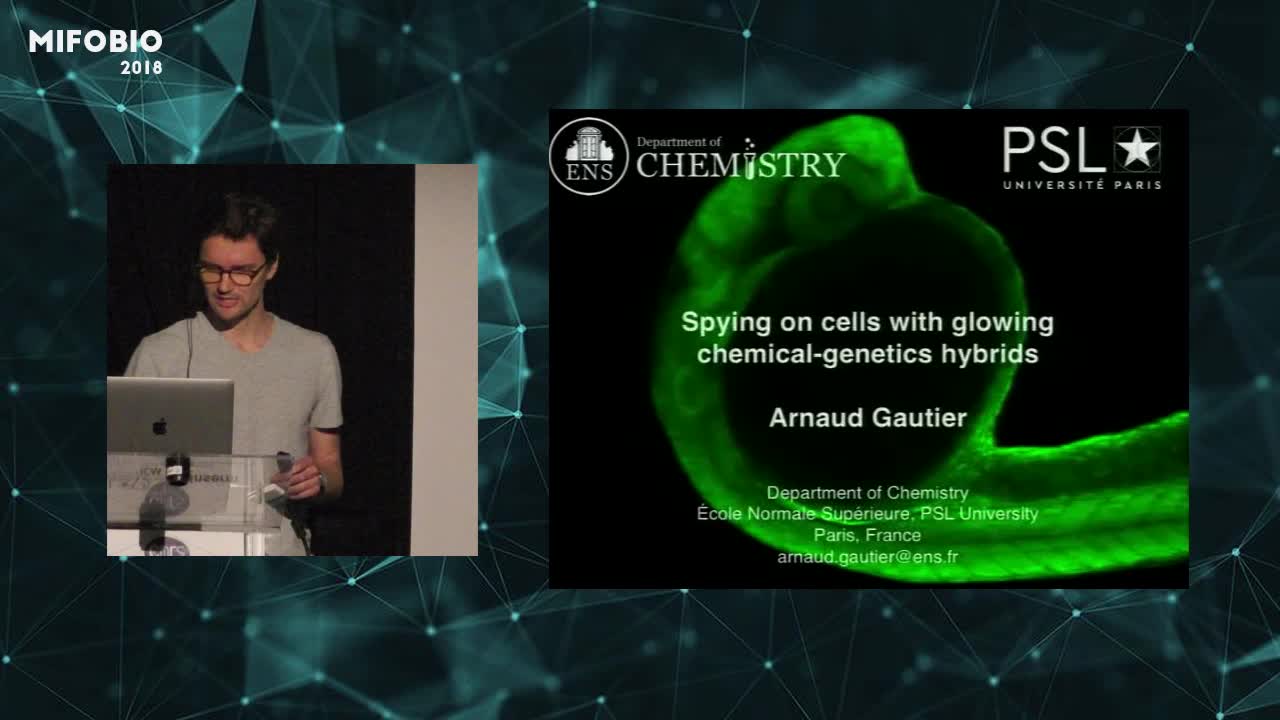 Spying on cells with glowing chemical-genetic hybrids - Arnaud Gautier