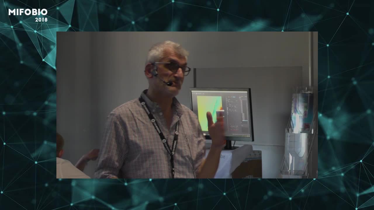 Polymer Physics for chromosomes image Analysis - Jean-Marc Victor