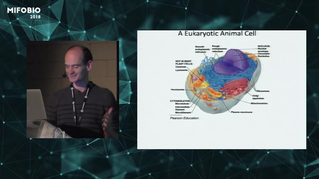 Imaging of cell structure and activity using SOFI imaging - Peter Dedecker