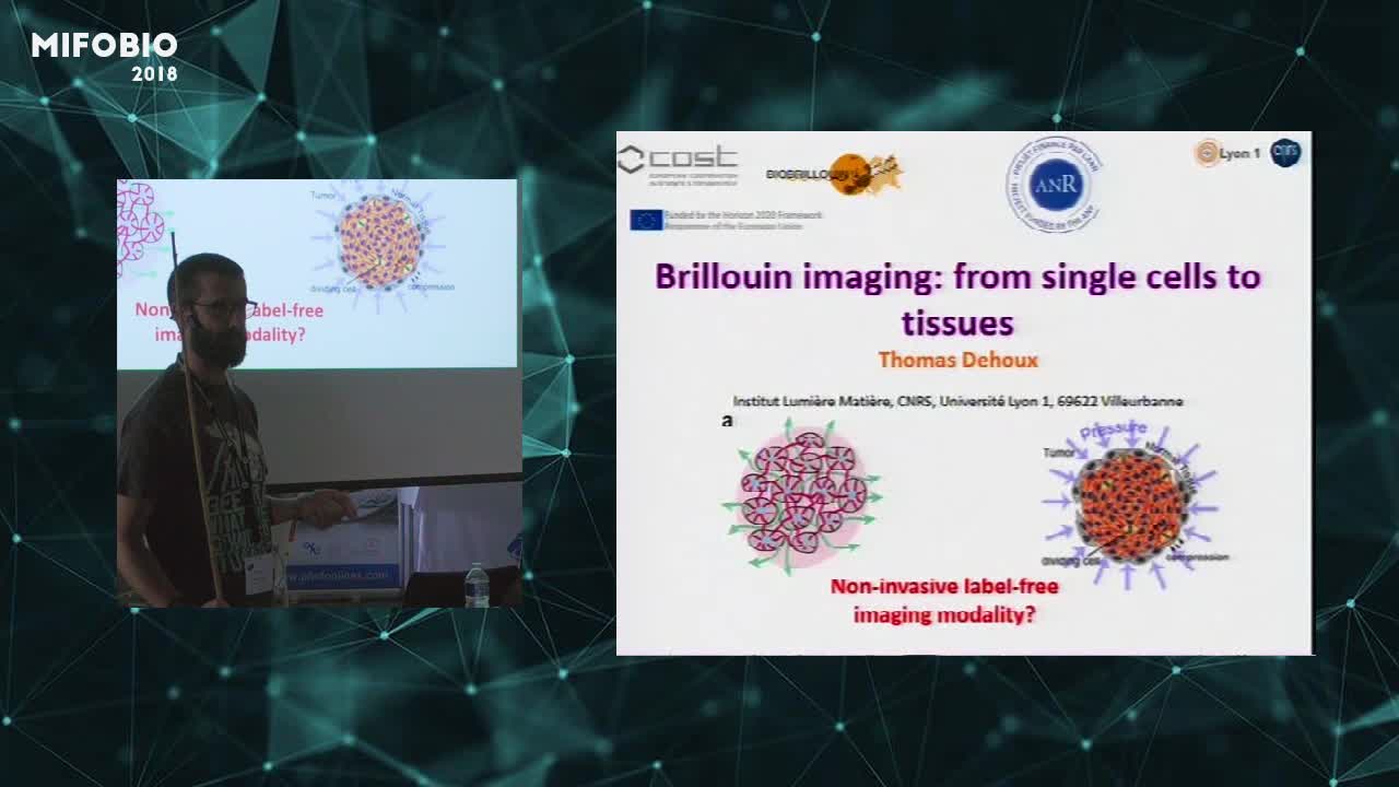 Brillouin imaging in life sciences: from single cell to tissues - Thomas Dehoux