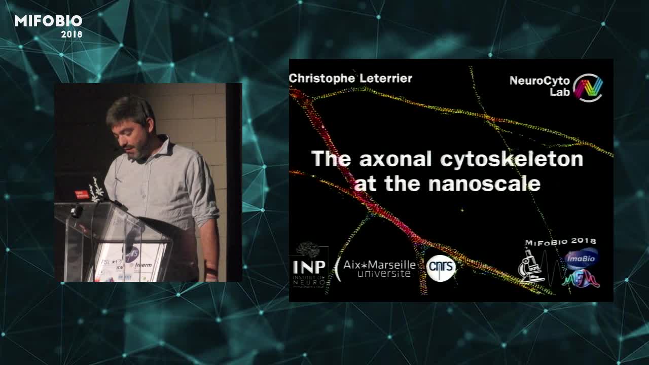 The axonal cytoskeleton at the nanoscale - Christophe Leterrier
