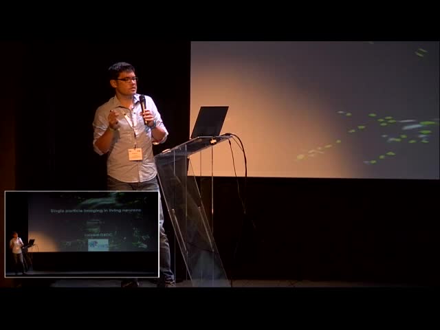 Single particle imaging in living neurons – Laurent Groc