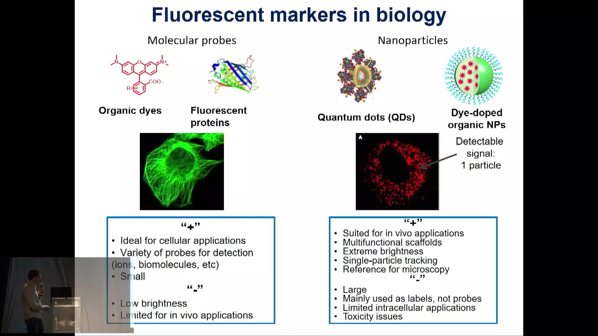 Fluorescent dyes and nanoparticles as bright probes for advanced bioimaging - Andrey Klymchenko