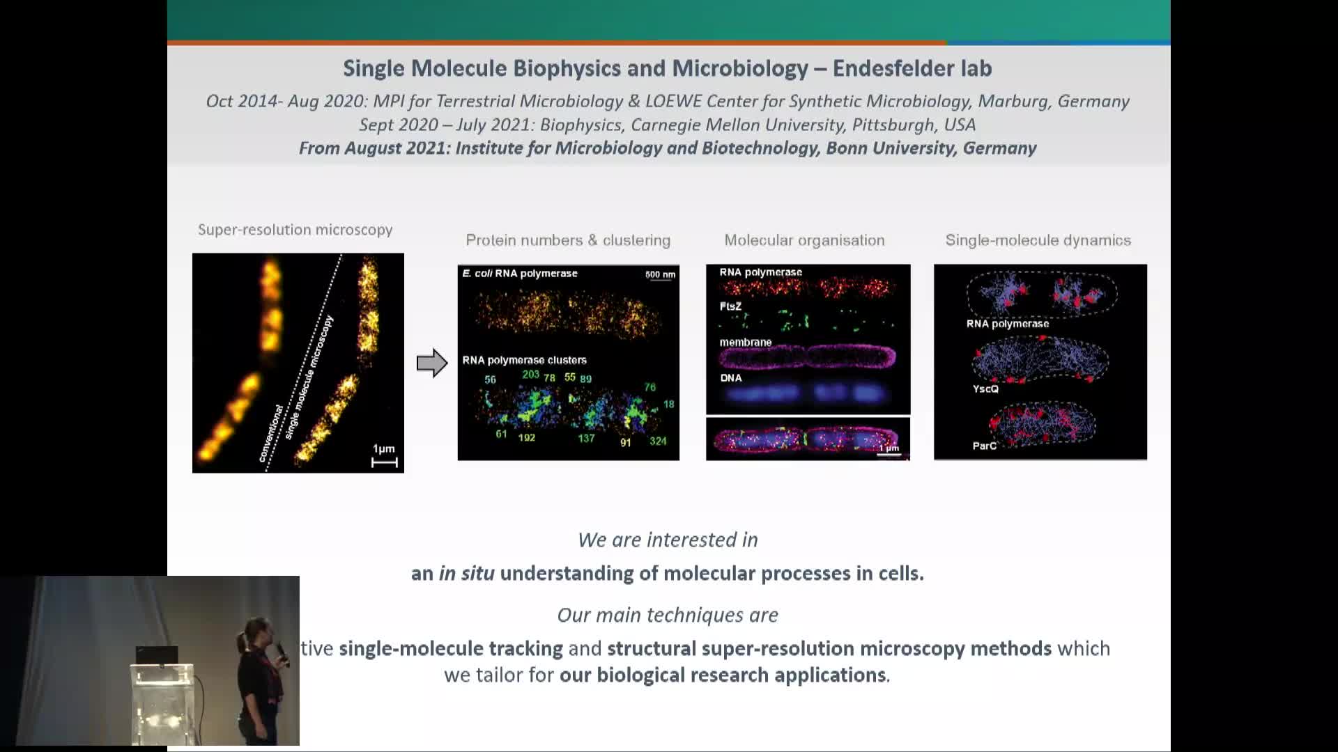 Labeling strategies to visualize the inner life of microbes by single-molecule localization microscopy – a practical guide? - Ulrike Endesfelder