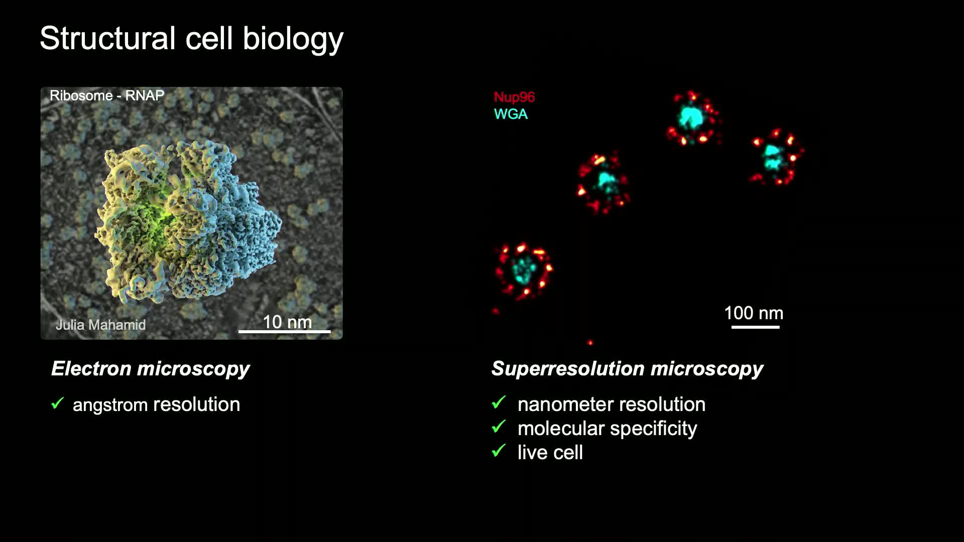 Superresolution microscopy for structural cell biology- Jonas Ries