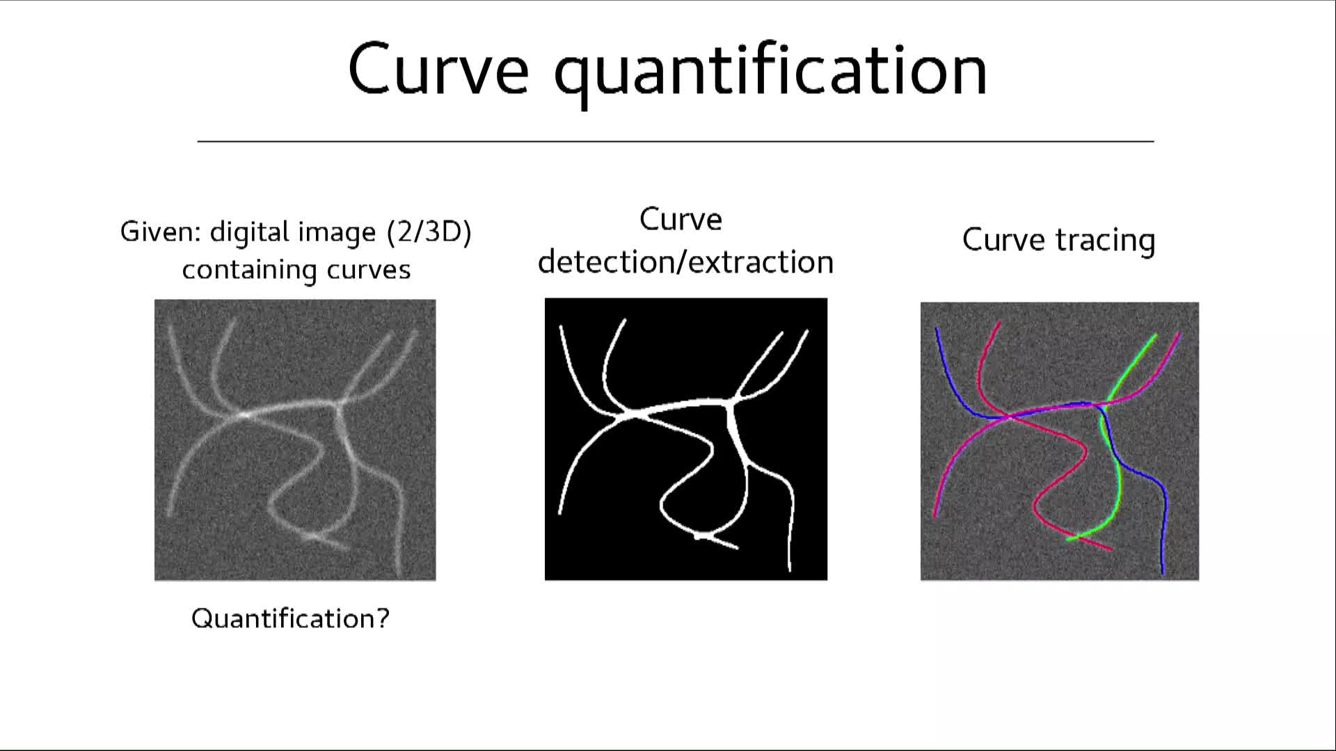 Quantification of filament structures in superresolution and expansion microscopy - Eugene Kathruka