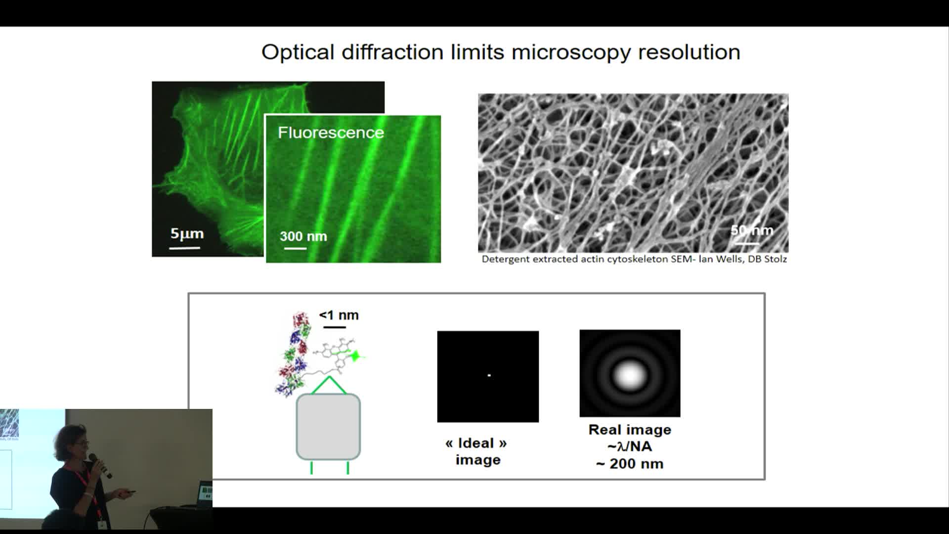 Polarized microscopy resolves protein’s organization in cells - Sophie Brasselet