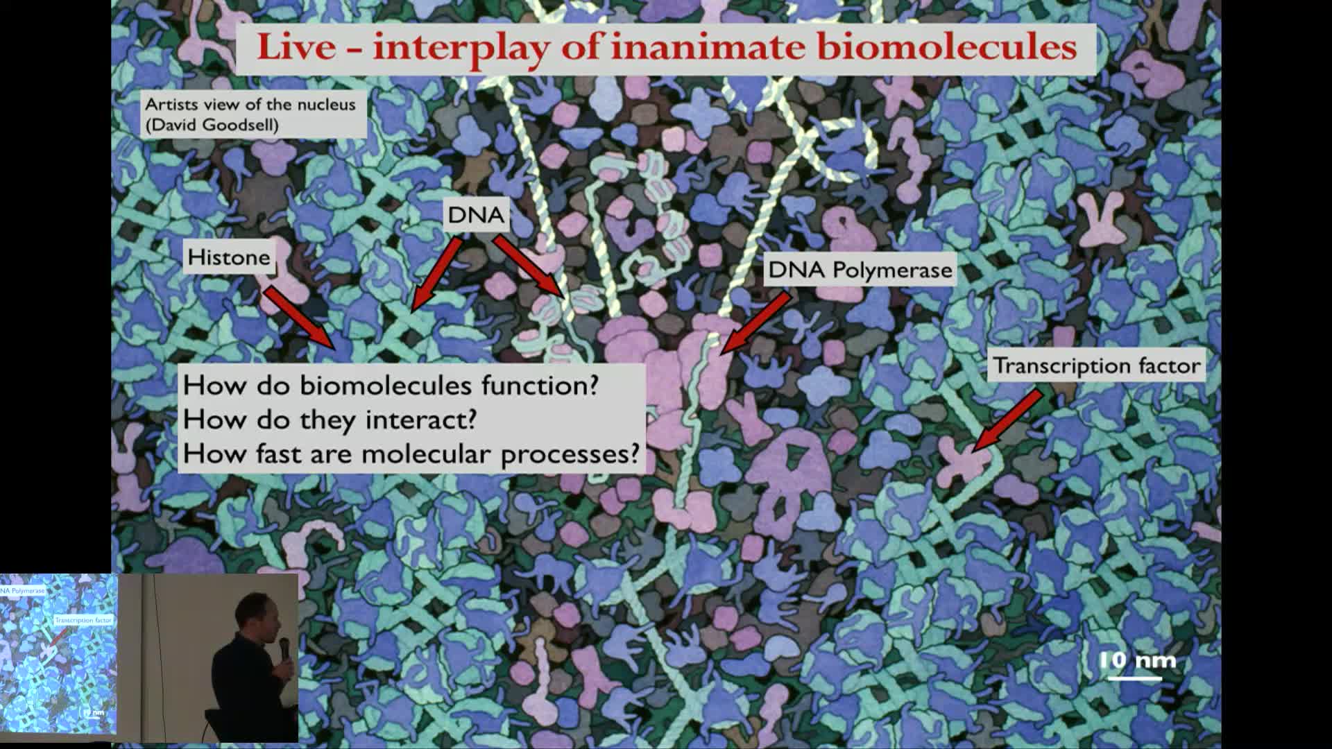 Revealing spatial and kinetic details of life processes by analyzing live cell single molecule tracking data - J. Christof M. Gebhardt
