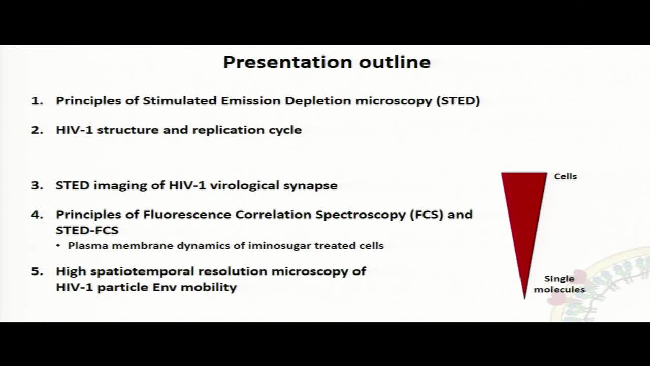 Advanced microscopy studies of HIV-1 dynamic structure and virus-cell interactions - Jakub Chojnacki