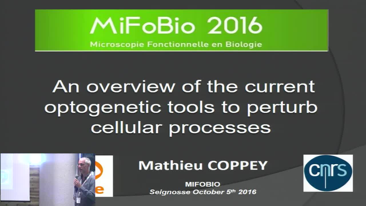 An overview of the current optogenetic tools to perturb cellular processes. - Mathieu Coppey