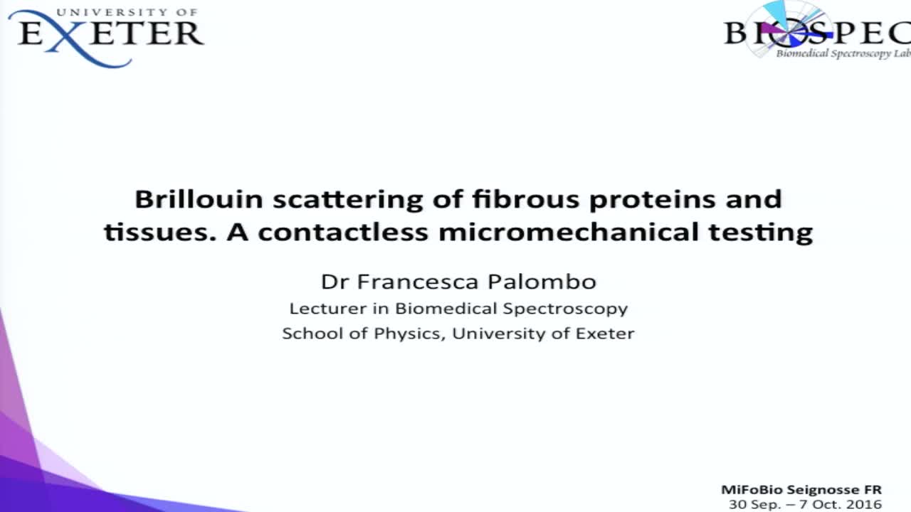 Brillouin scattering of fibrous proteins and tissues. A contactless micromechanical testing - Francesca Palombo