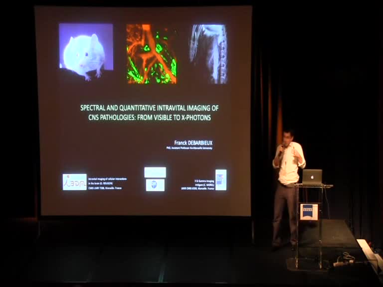 Spectral and quantitative intravital imaging of CNS pathologies: from visible to X-photons – Franck Debarbieux