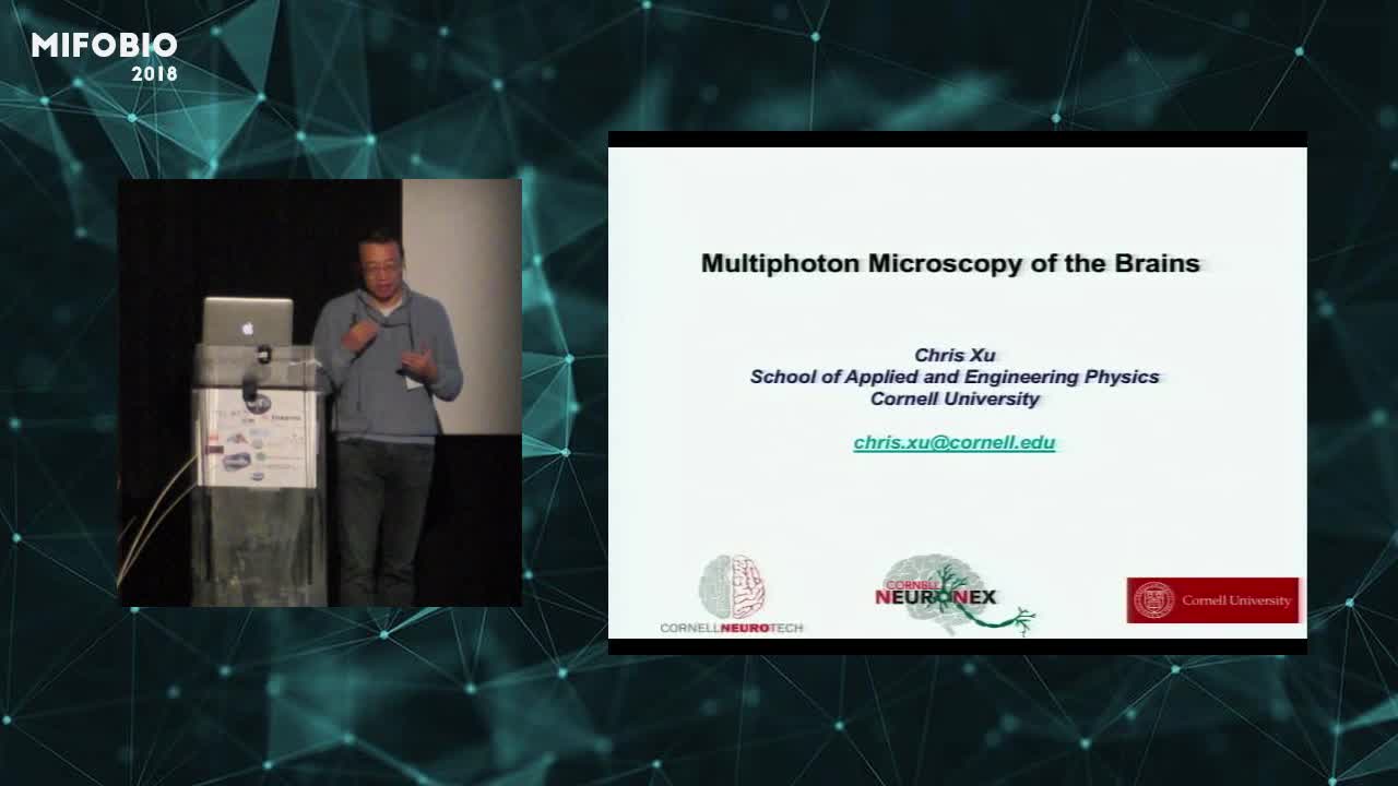 In vivo Multiphoton Microscopy of the Mouse Brain - Chris Xu