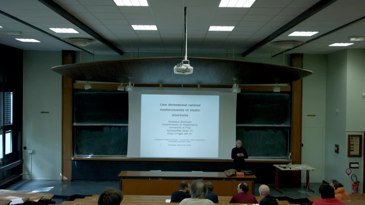 Giuseppe Buttazzo - One dimensional optimal reinforcements of elastic structures