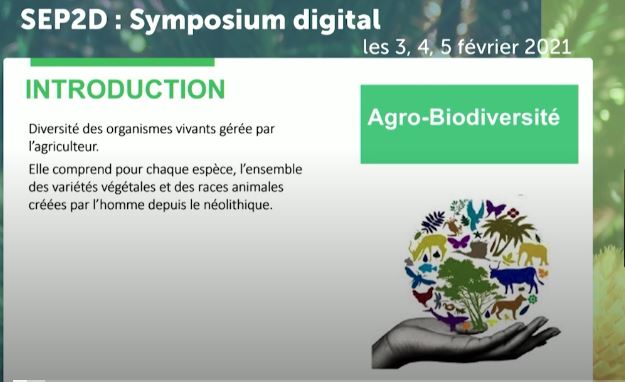 Agrobiodiversité
Symposium en ligne de SEP2D : "Biodiversité végétale et développement durable",
4 février 2021