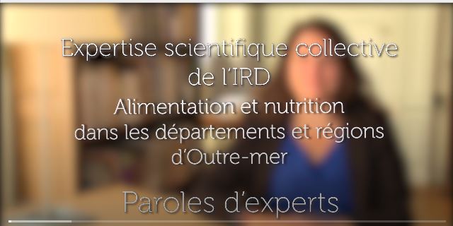 Alimentation et nutrition dans les départements et régions d'Outre-mer
Expertise scientifique collective de l'IRD - Caroline Méjean
