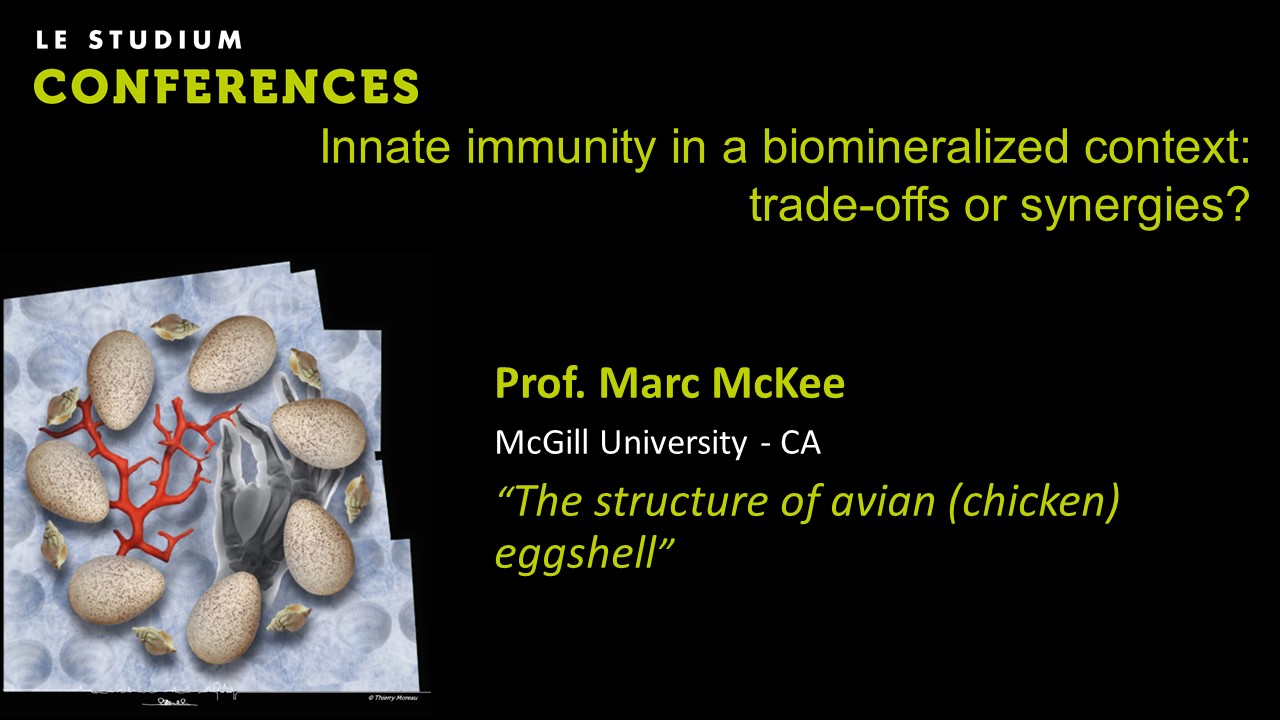 Prof. Marc McKee - The structure of avian (chicken) eggshell