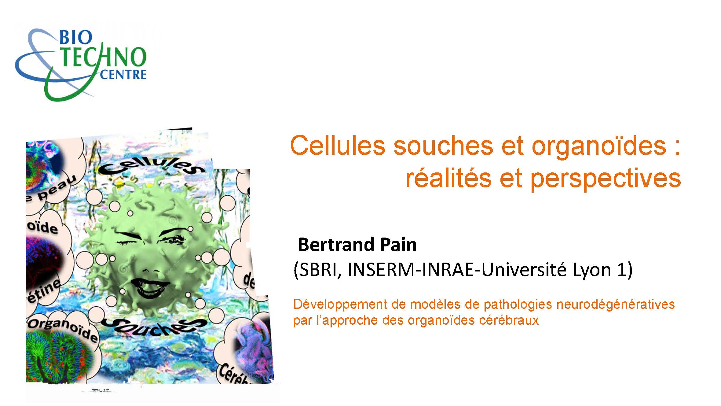 Bertrand Pain - Développement de modèles de pathologies neurodégénératives par l’approche des organoïdes cérébraux