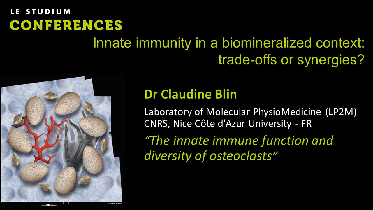Dr Claudine Blin - The innate immune function and diversity of osteoclasts