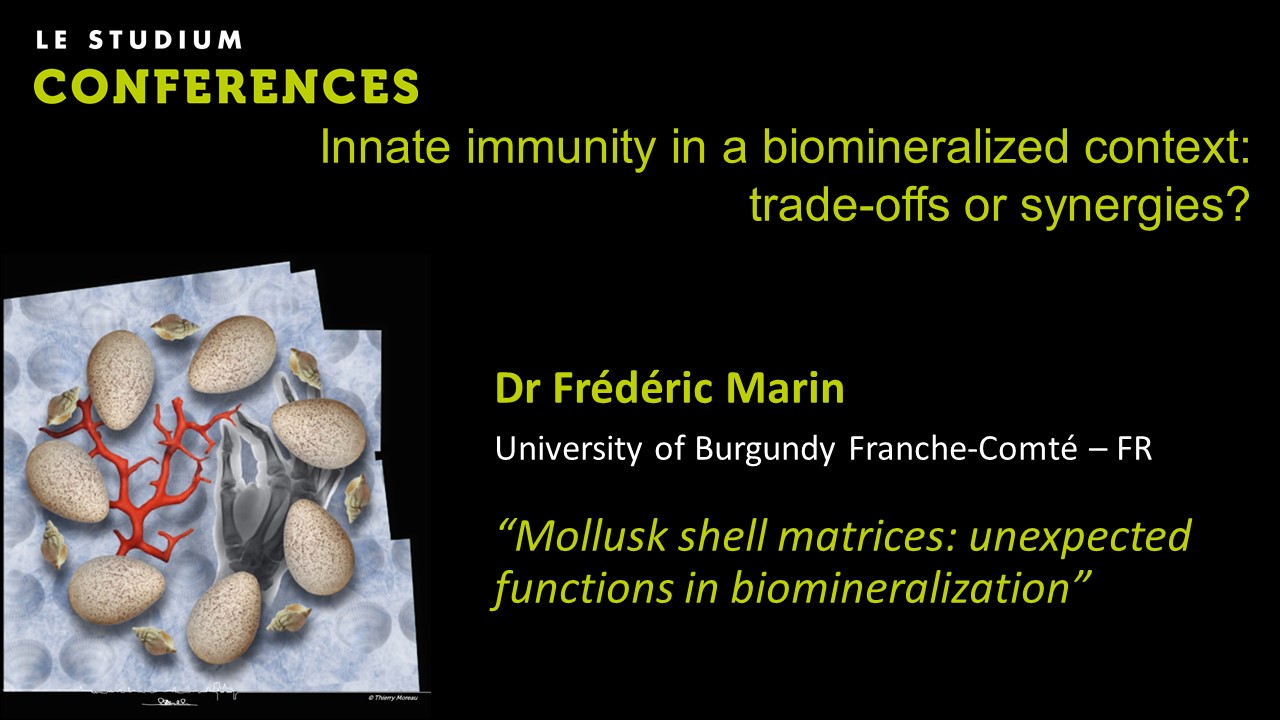 Dr Frédéric Marin -  Mollusk shell matrices: unexpected functions in biomineralization