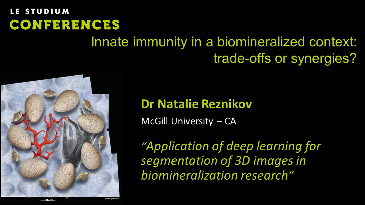 Dr Natalie Reznikov - Application of deep learning for segmentation of 3D images in biomineralization