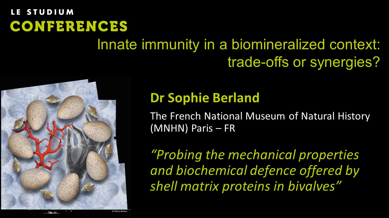 Dr Sophie Berland - Probing the mechanical properties and biochemical defence offered by shell matrix proteins in bivalves