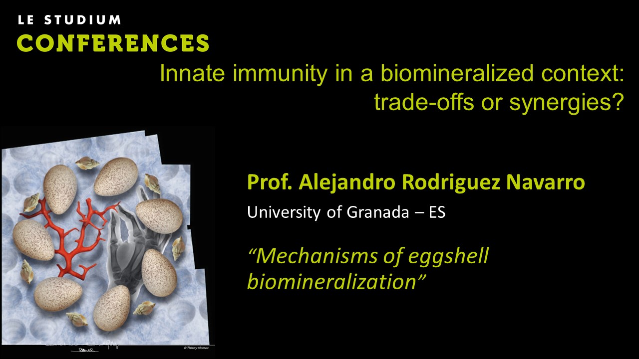Prof. Alejandro Rodriguez Navarro - Mechanisms of eggshell biomineralization