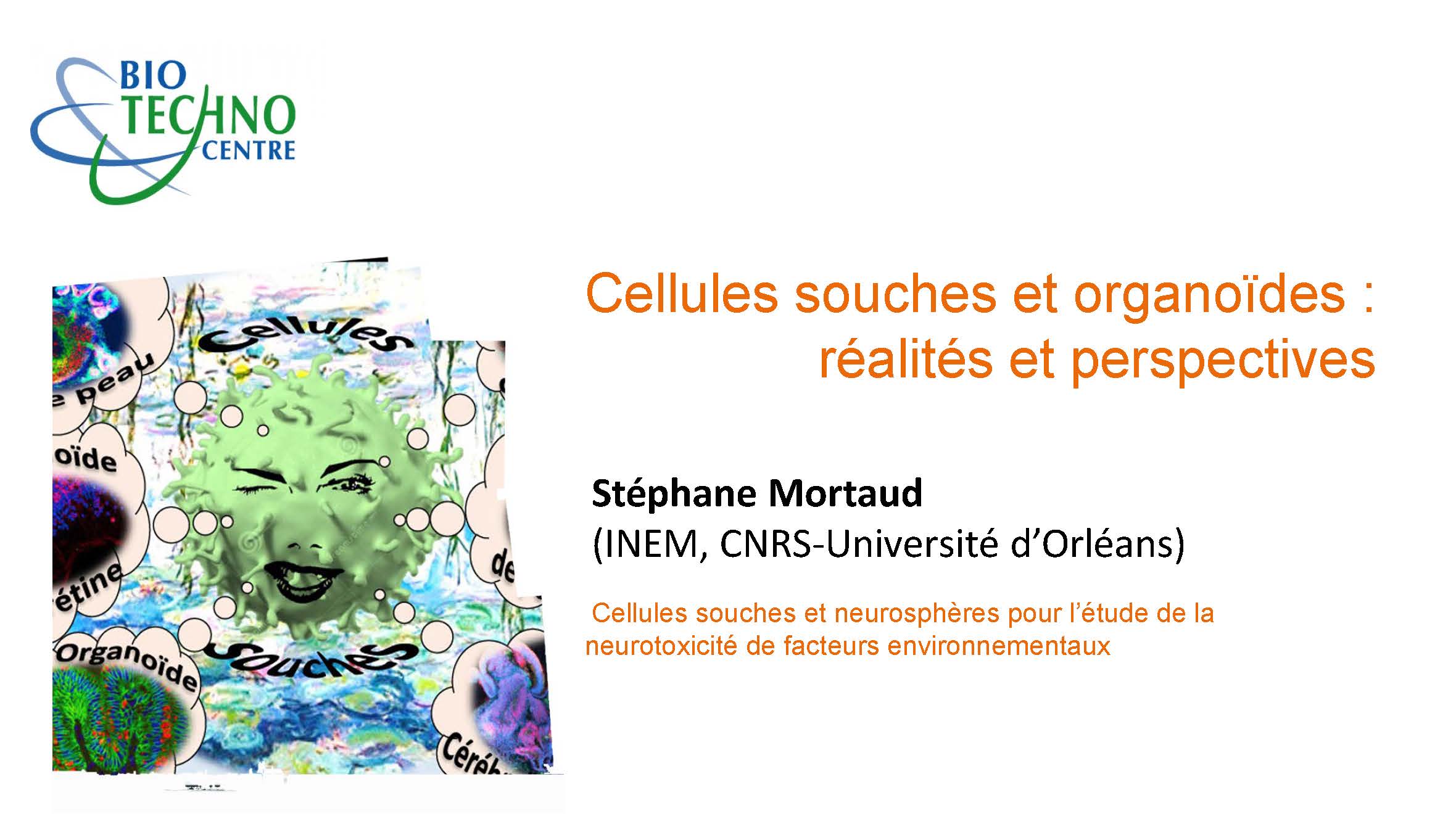 Stéphane Mortaud - Cellules souches et neurosphères pour l’étude de la
neurotoxicité de facteurs environnementaux