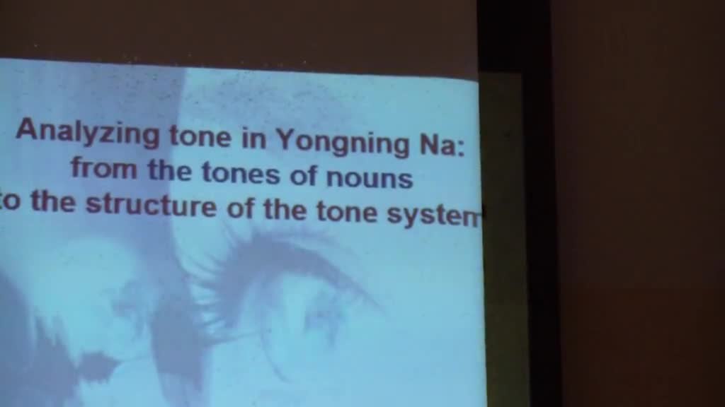 AR 2014: Analyzing tone in Yongning Na: from compound nouns to the structure of the tone system (Alexis Michaud 2014)