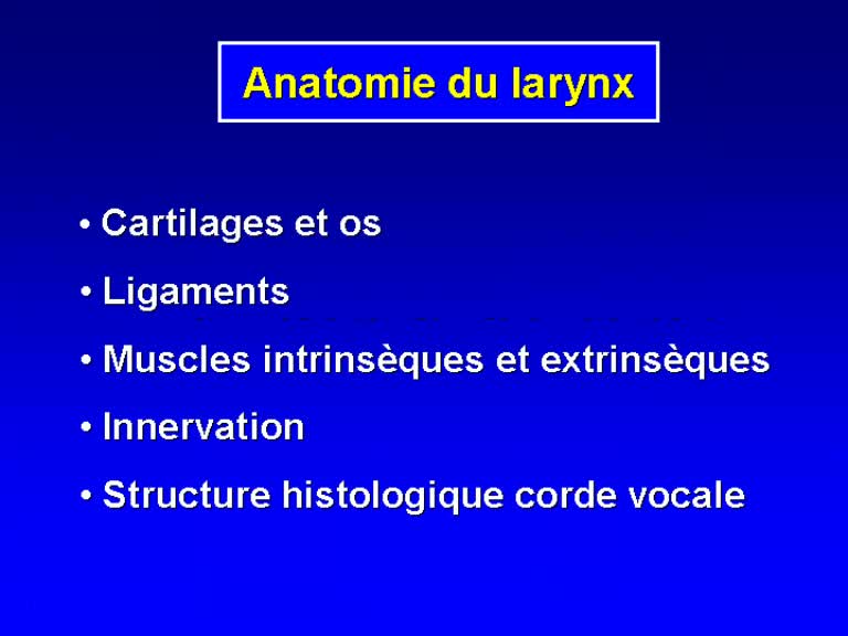 Anatomie du Larynx (Daniel Brasnu 2006)