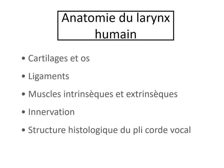 Anatomie du Larynx (Daniel Brasnu 2021)