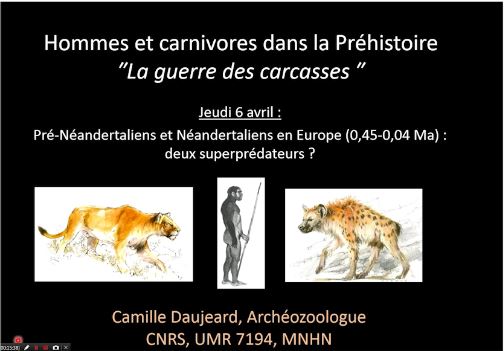 Pré-néandertaliens et néandertaliens en europe (0,5-0,04 Ma) : deux superprédateurs ? - La Guerre des carcasses (3/3)