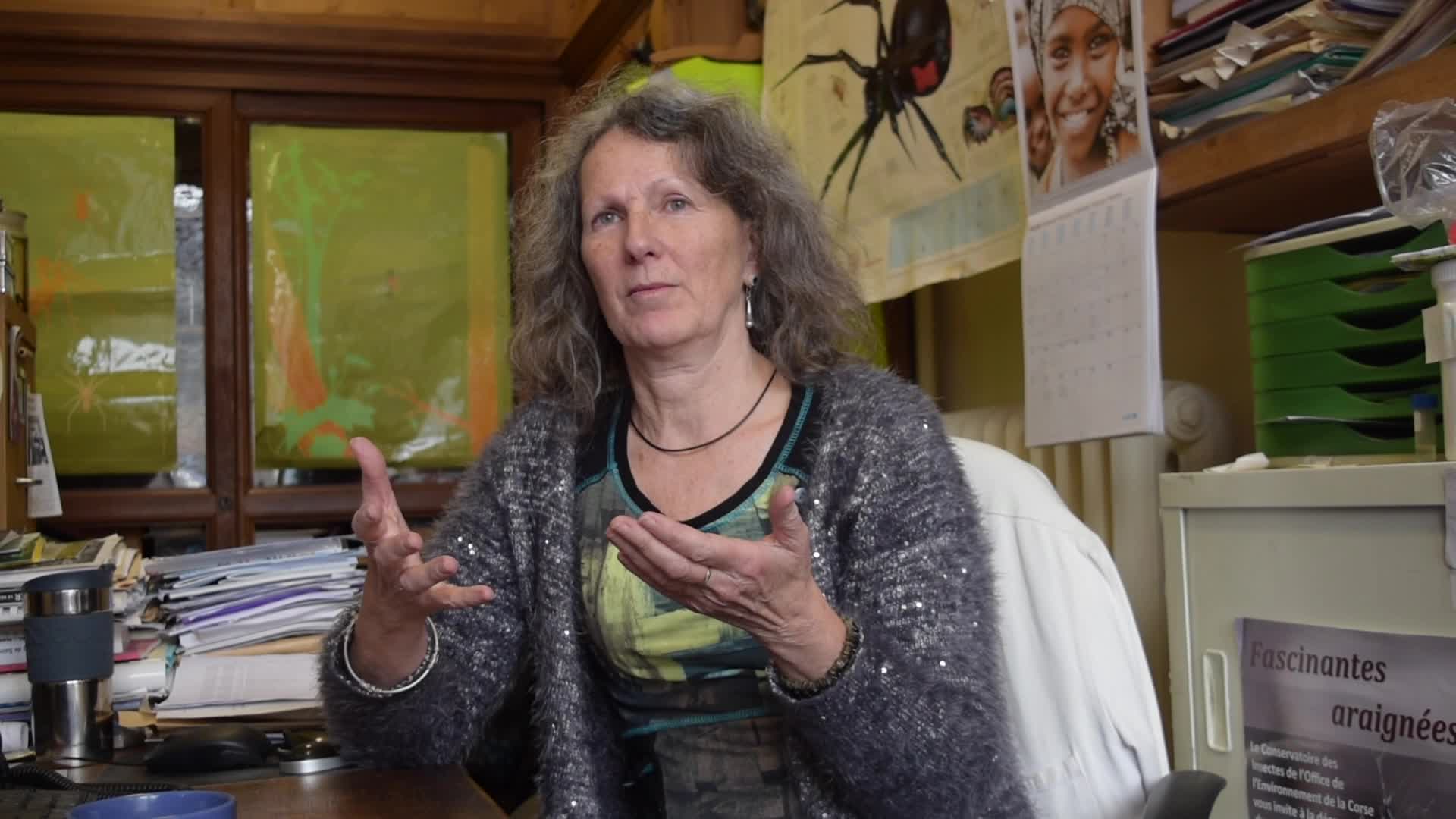 Dans les coulisses des Cours Muséum : combattre l'arachnophobie avec Christine Rollard