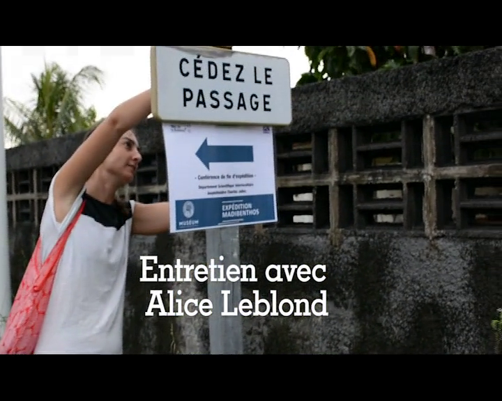Entretien avec Alice Leblond - EXPÉDITION MADIBENTHOS