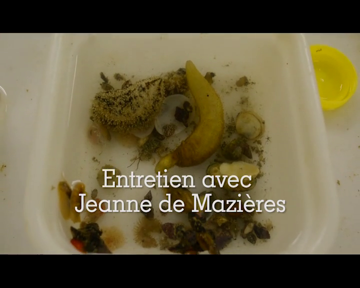 Entretien avec Jeanne de Mazières - EXPÉDITION MADIBENTHOS
