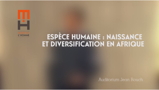 L’espèce humaine : naissance et diversification en Afrique (Cycle Histoire du racisme et diversité humaine 3/3)