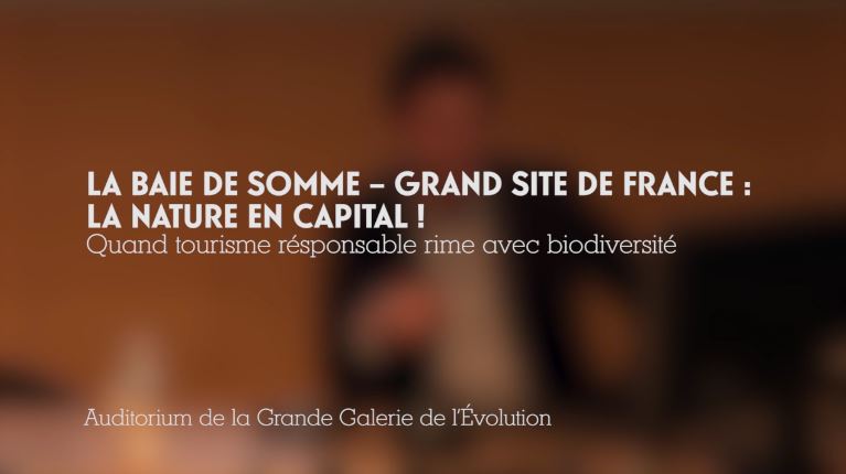 La Baie de Somme - Grand site de France : la nature en capital! (2/4)
